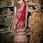 Banarsi Bridal Saree Designs