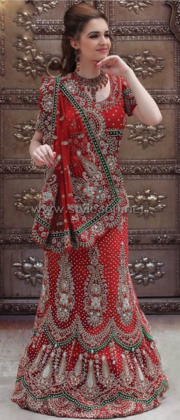 Pakistani Bridal Saree Collection