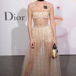 Bella Hadid Combined Sexy and Sophisticated Dior Gown