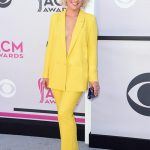 Cam at 2017 Academy Of Country Music Awards
