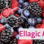 Ellagic Acid For Dark Spots